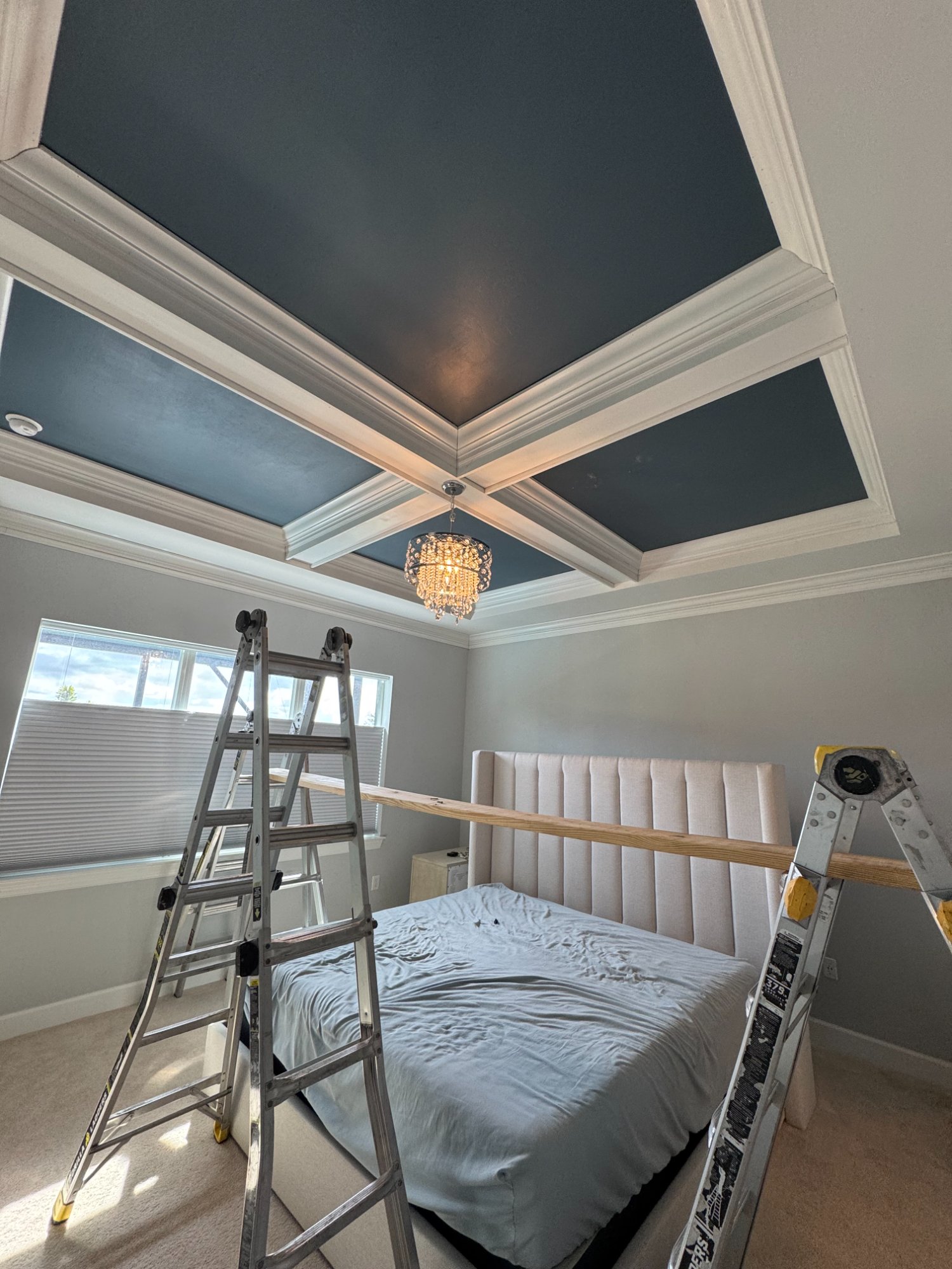 Navy coffered ceiling
